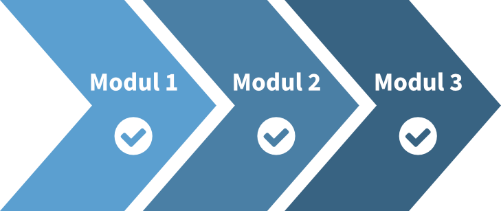 llustration der drei Module für betriebliche Suchtberatung in Reihenfolge